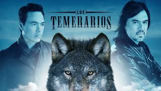 Los Temerarios Mix 2022 [upl. by Jaco]