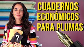 📚 CUADERNOS ECONÓMICOS para PLUMAS ESTILOGRÁFICAS [upl. by Anitnatsnok]