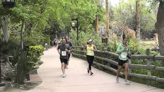 California Classic Half Marathon [upl. by Bautista]