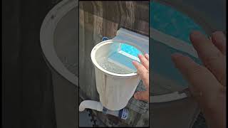 bestway pool mods with Intex saltwater sandfilter Hayward skimmer amp robot [upl. by Brightman]