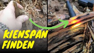 Kienspan gefunden und verarbeitet Bushcraft  Survival [upl. by Atniuq320]