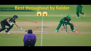 Batsman out by best throughout by the fielder in cricket 😱😱 [upl. by Sehguh]