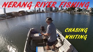 FISHING NERANG RIVER 24TH MAY 2024 [upl. by Innaig]