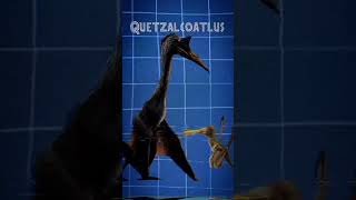 ¿Sabías que jurassicworlddominion quetzalcoatlus morosintrepidus ornithocheirus microraptor [upl. by Montana]