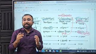 কর্ডাটা পার্ট২ Vertebrata ChondrichthyesActinopterygiiSarcopterygii শ্রেণীর বৈশিষ্ট্য সহজে [upl. by Philemol584]