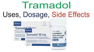 Tramadol Uses Side Effects and Dosage [upl. by Libys974]