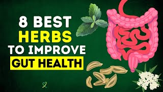 8 Best Herbs To Improve Gut Health [upl. by Rudyard]