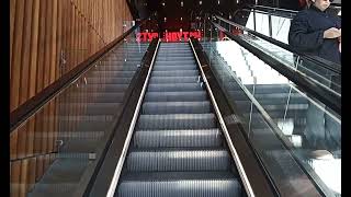 Kone Escalators at Hoyts Tea Tree Plaza [upl. by Nylekoorb]