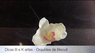 Orquídeas de Biscuit  Dicas B e K artes [upl. by Aicilaana]