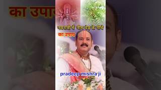 नवरात्री का उपाय pradeep mishra jishortsfeed navratra [upl. by Kushner]