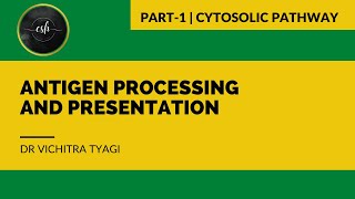 ANTIGEN PROCESSING AND PRESENTATION PART1 CYTOSOLIC PATHWAY [upl. by Meghann307]