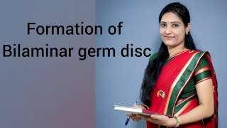 Formation of bilaminar germ disc and development of Blastocyst [upl. by Yenar]