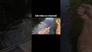 ⁠go watchWaterWoodsProductions bowfishing fishing mychannel youtube [upl. by Cherye]