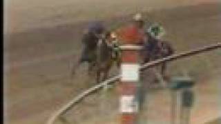 Affirmed vs Alydar  1978 Preakness Stakes 8th Meeting [upl. by Lorianna]