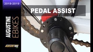 WHY you should use pedal assist on your ebike  IMPORTANT [upl. by Gideon311]