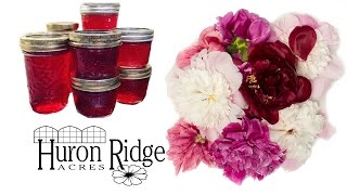 Make Your Own Peony Jelly [upl. by Crissy]