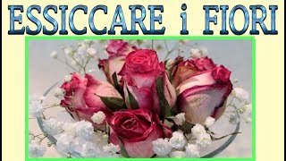 come essiccare i fiori e le piante col silicio tutorial fiori secchi [upl. by Herrod]