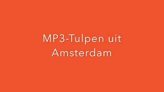 Muziek bij Stoelyoga Dans Tulpen uit Amsterdam [upl. by Adnawad260]