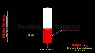 Millons test  Test for Tyrosine Amino acid  Biochemical Test of Protein  Animation Video Hindi [upl. by Abih]