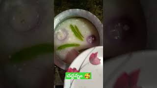 పెద్దల మాట చద్దన్నం మూట🥰 chaddannam probioticfermentatedrice youtube youtubeshorts [upl. by Caria]