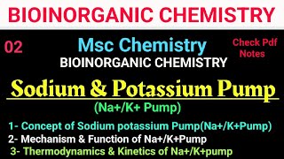 Sodium amp Potassium PumpNaKATPase bioinorganic mscchemistry bscchemistry itschemistrytime [upl. by Adnuahsor]