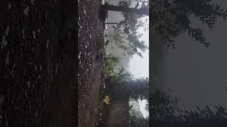 mazha❤️ heavyrain Kerala thiruvananthapuram kerala [upl. by Niatsirhc107]