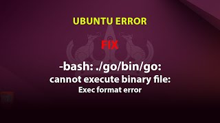 UBUNTU FIX bash gobingo cannot execute binary file Exec format error [upl. by Atinra]