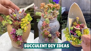 Succulent DIY Ideas from Recycling  Succulent Garden 肉植物 다육이들 Suculentas [upl. by Enirehtahc]