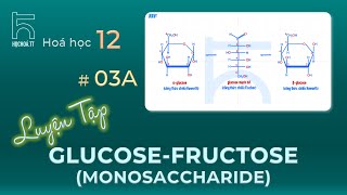 Luyện tập về Glucose amp Fructose Monosaccharides [upl. by Alanna]