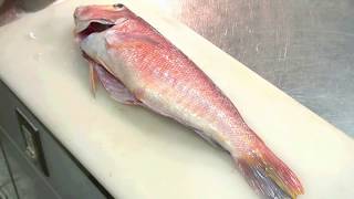 甘鯛のさばき方（湯引き編） How to cook Tilefish yubiki sashimi Japanese food [upl. by Romilda]