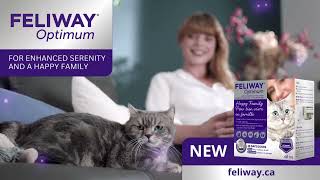 Feliway Optimum TV Advert  Canada  Fall  30S [upl. by Nahbois]