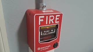 Notifier Fire Alarm System Test 28 [upl. by Sivrad]