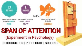 Span of Attention  Experiment in Psychology  IGNOU MA Psychology Practical [upl. by Aleunam]