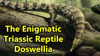 Doswellia The Enigmatic Reptile From Late Triassic North America [upl. by Kerwon]