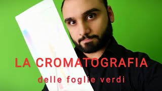 CROMATOGRAFIA  Come trattiamo le foglie [upl. by Adley]