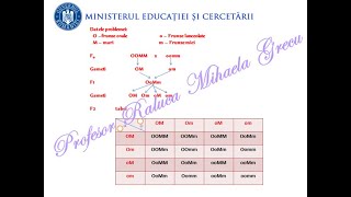 PROBLEME GENETICĂ DIHIBRIDARE REZOLVATE PAS CU PAS  BAC BIOLOGIE VEGETALA SI ANIMALA [upl. by Ecnarretal768]