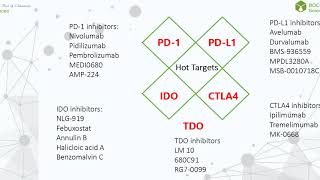 Cancer Immunotherapy  BOC Sciences [upl. by Nuncia909]