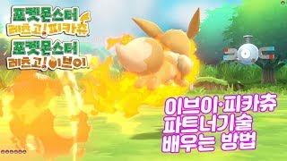 피카츄·이브이 파트너기술 배우는 방법 [upl. by Anoid]