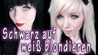 SCHWARZ auf WEIß blondieren  Erfahrungsbericht  Tipps [upl. by Say]