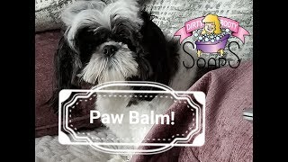 DIY Paw Balm for Dogs with Recipe [upl. by Oigroeg]