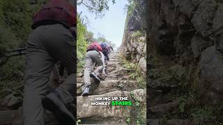 The Inca Trail Trek to Machu Picchu shorts peru incatrail machupicchu [upl. by Zerline]