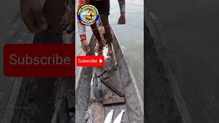 Pesca con calandro a ogado 😱 buenapesca fishing pescaderia fish pescadeportiva viral [upl. by Nylidnam]