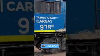 🚂 TREN N°9004  9780  9785 Belgrano Cargas 🇦🇷 [upl. by Dodd]