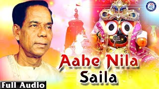 Ahe Nila Saila  ଆହେ ନୀଳ ଶୈଳ ଭଜନ ସମ୍ରାଟ ଶ୍ରୀ ଭିକାରି ବଳଙ୍କ କଣ୍ଠରେ ଭକ୍ତ ସାଲବେଗ ଚଳଚିତ୍ରର ଭକ୍ତିଭରା ଭଜନ [upl. by Anirdnajela]