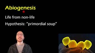 Biology Spontaneous Generation vs Biogenesis [upl. by Henrietta]