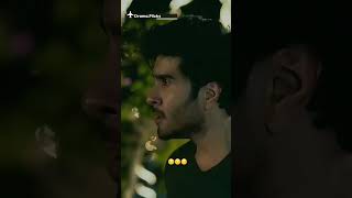 Khani Chahiye ferozekhan sanajaved shorts khani viral [upl. by Anoyet]