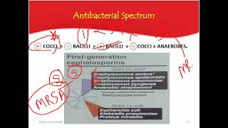 cell wall synthesis inhibitors part 4 2024 [upl. by Ariaic652]