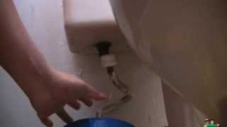 Replace Leaking Fill Valve and Shut Off Valve and Toilet Water Connector [upl. by Antonie]