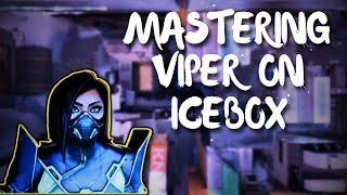 Beginner Viper Guide for ICEBOX [upl. by Nali]