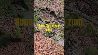 Die geheimnisvolle Kammer  Drehort zum neuen Video kammer mystisch wald felsen geheimnisvoll [upl. by Maye]